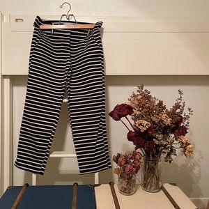 The Loft Perfect Straight Pants